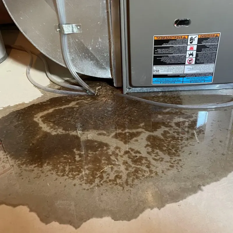 Pipe Burst and Leak Restoration in Colchester, VT