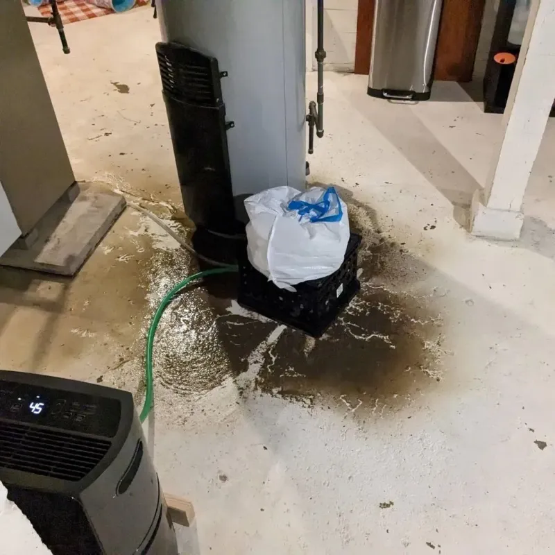 Sewage Backup Cleanup Service in Colchester, VT